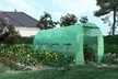 Serre de jardin tunnel avec bâche de 140 g/m² verte, plusieurs modèles disponibles, livraison offerte - Image 5