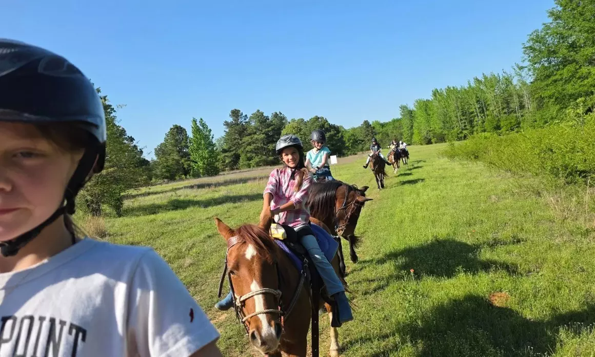 Up to 20% Off on Horse Back Riding at Zabcik Ranch LLC
