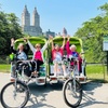 Image 4: Explore Central Park with a 1 or 2 Hour PediCab Guided Tour