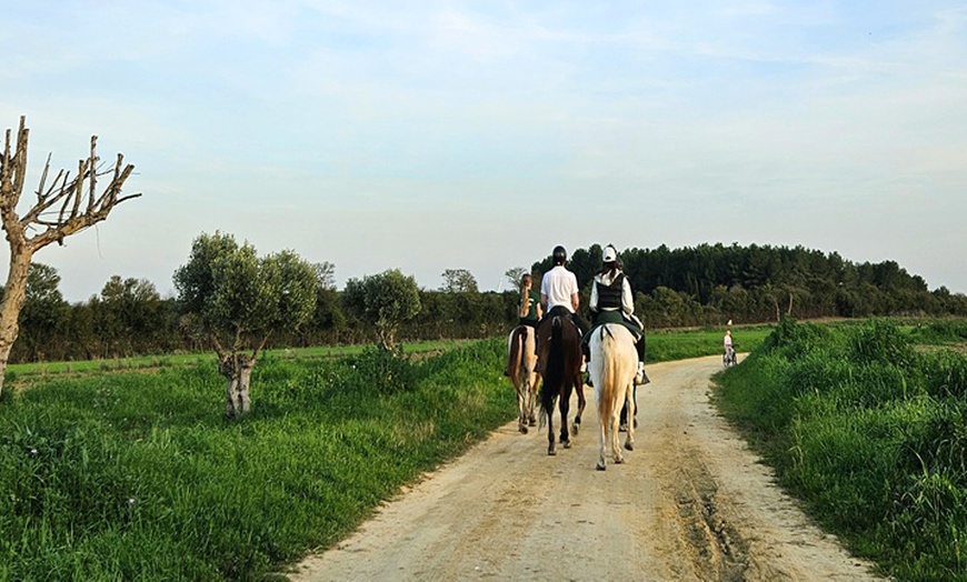 Image 2: Ruta a caballo de 90 minutos por el Aljarafe hasta Itálica