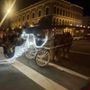 Image 2: Unforgettable Romance Carriage Tours for Couples 