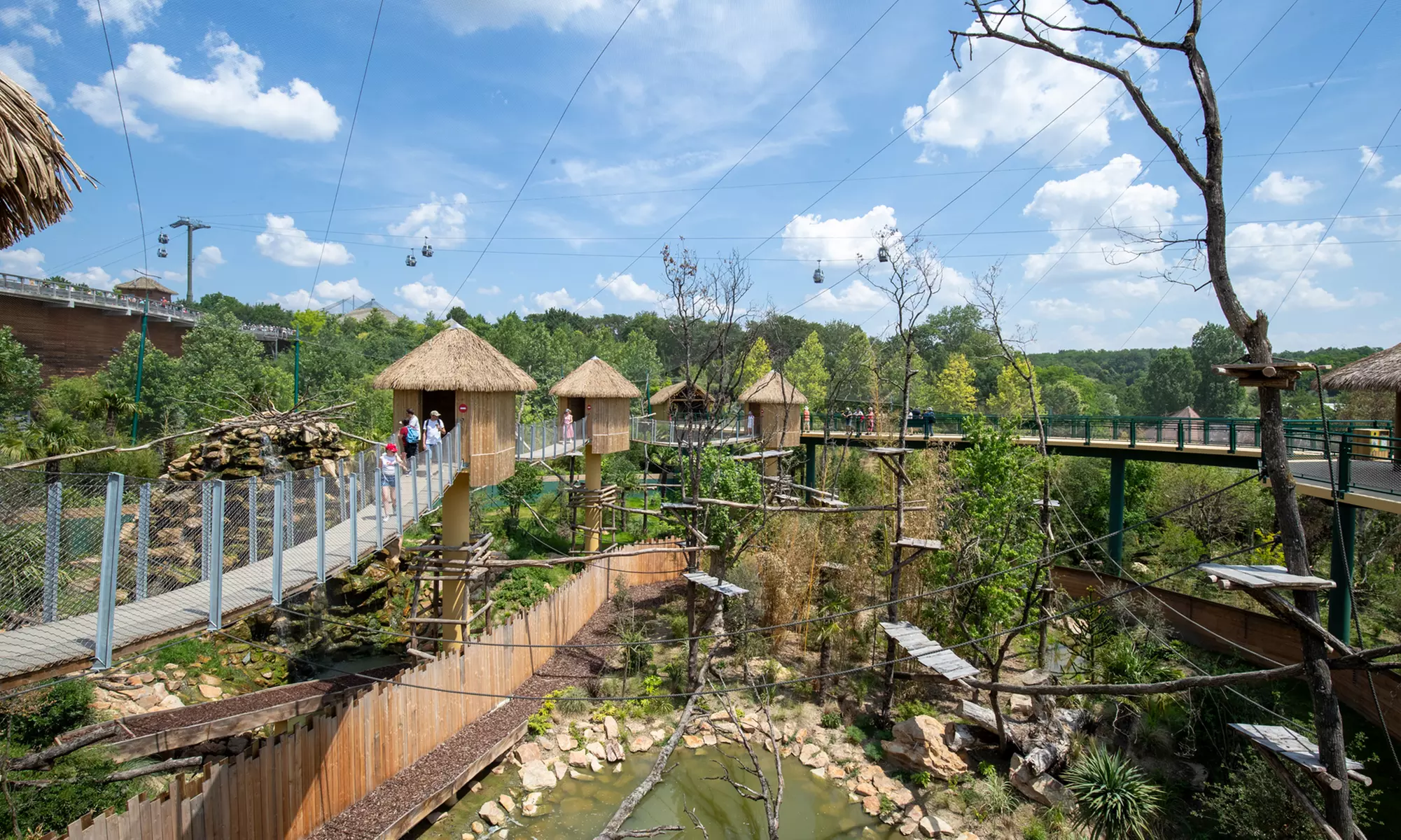 ZooParc de Beauval : 1 ou 2 jours pour un tour du monde animal