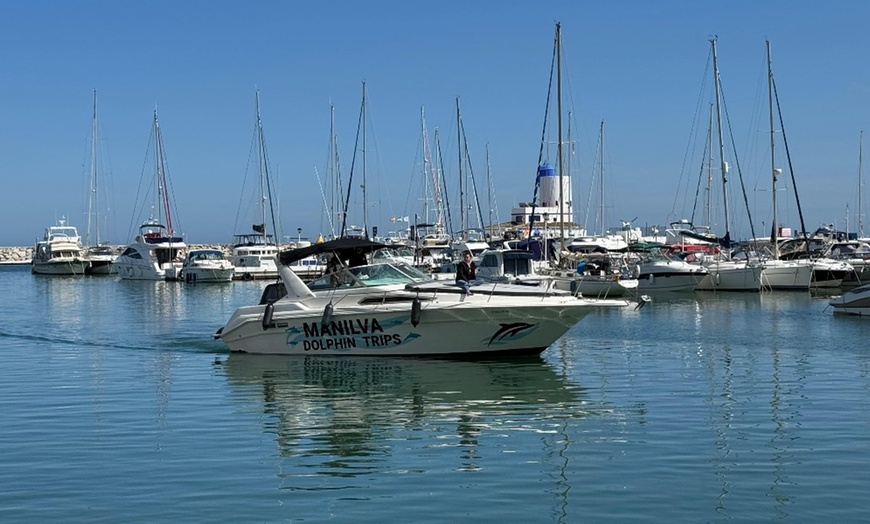 Image 3: Paseo en barco con avistamiento de delfines y bebida para 1 