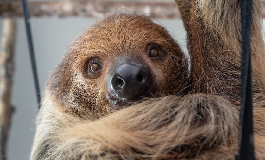 Image 3: Up to 42% Off Wildlife Adventure Tours at Animal Park