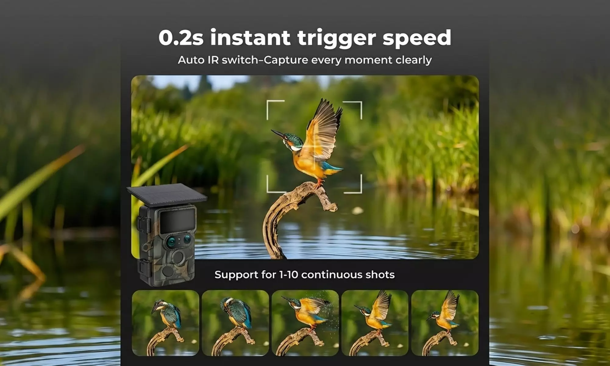 Centra High-Performance Solar Powered 4K Wildlife Trail Cameras