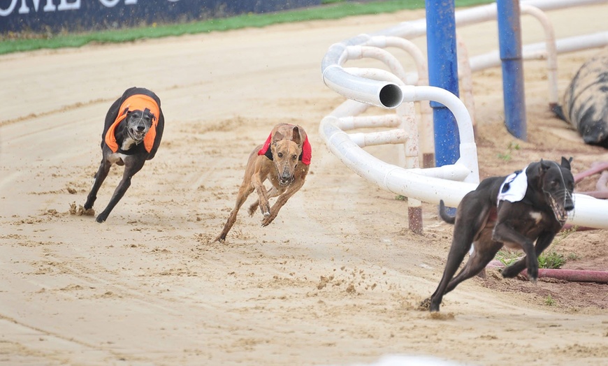 Image 2: Greyhound Racing Entry with Food, Drink & Racecard – For 1, 2, or 4