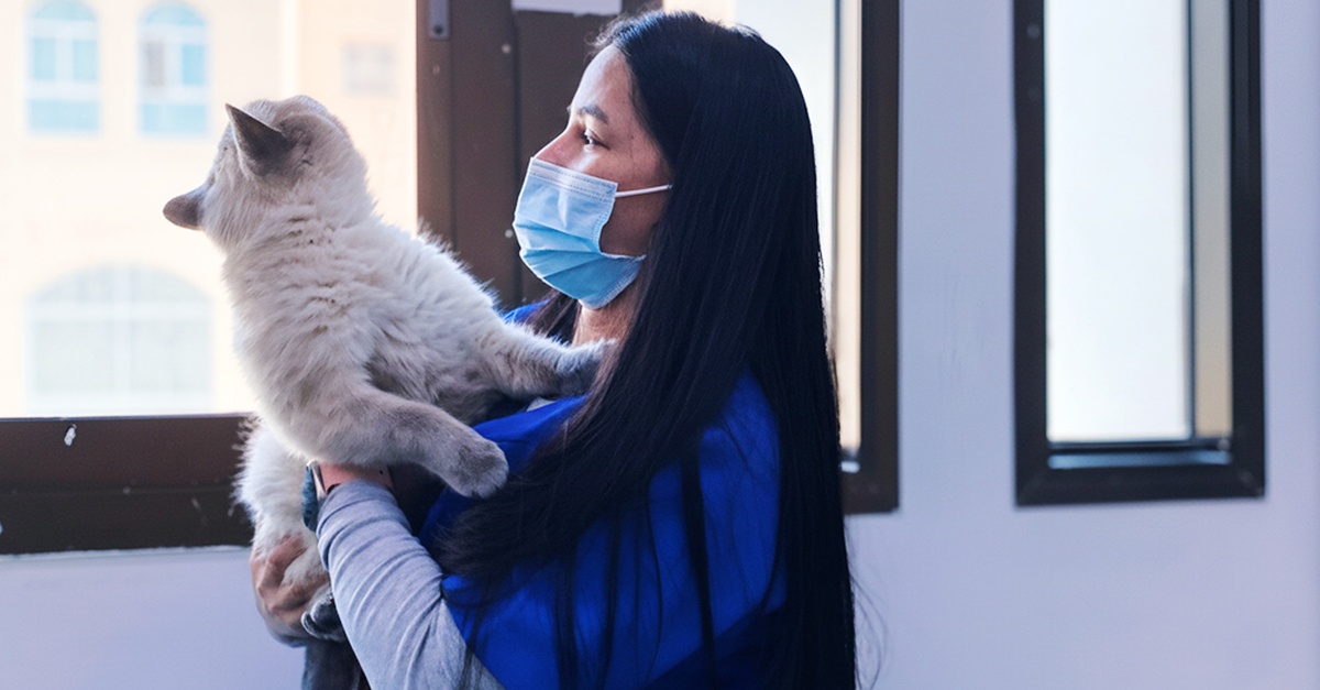 Pet Grooming & Vaccine Care (Consultation, Pch/Dhppi, And Deworming) Pet Grooming & Vaccine Care (Consultation, Pch/Dhppi, And Deworming)