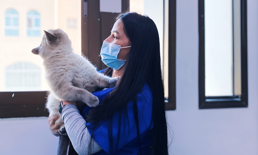 Image 3: Pet Grooming & Vaccine Care (Consultation, PCH/DHPPI, and Deworming)