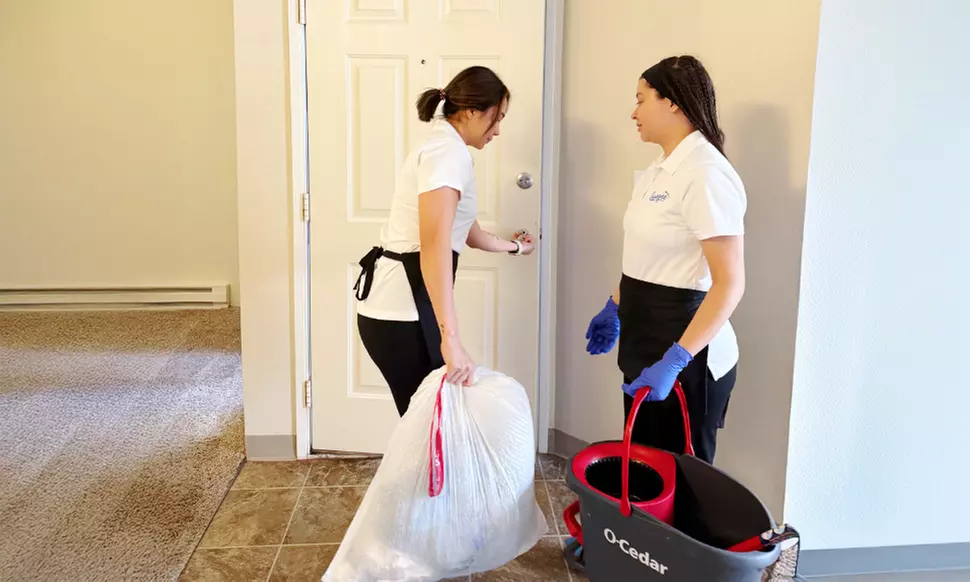 3 or 5 Hours of Standard Home Cleaning, Optional Carpet Cleaning