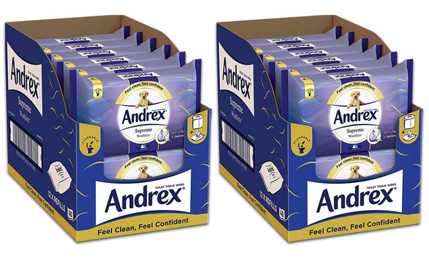 Image 3: Andrex Flushable Wipes
