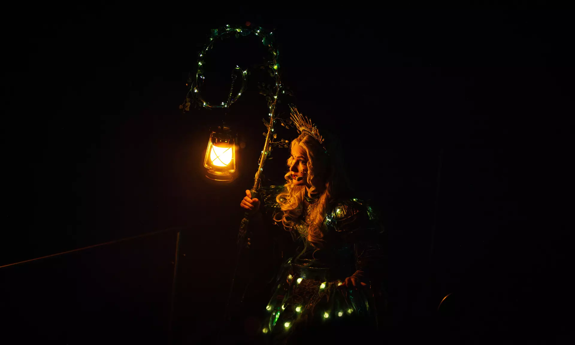 Einrittskarte "Dolfinarium" in Harderwijk, Niederlande für 1 Person