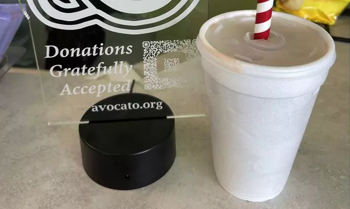 Enjoy Adult and Child Reservation to Avocato Catfé with a Unique Experience to Vegan Coney (Up to 20% Off) - Primary Image