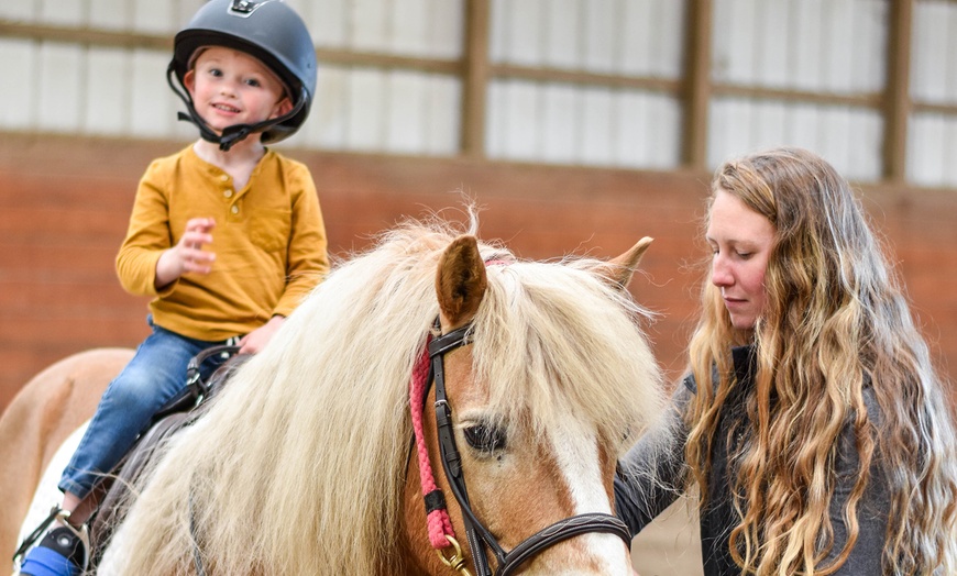 Image 5: Private Horseback Riding Lessons at SNS Equine