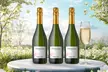 Pop, Fizz, Clink! 3 Bottles of Bubbly – Prosecco, Cava, or French Champagne from Splash Wines (Up to 57% off) - Second Medium