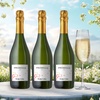 Image 3: Splash Wines: 3-Bottle of Premium Sparkling Wine - Choose Cava or French Champagne