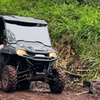 Image 3: Enjoy a Guided ATV Tour with Seasonal Fruit Picking and More!