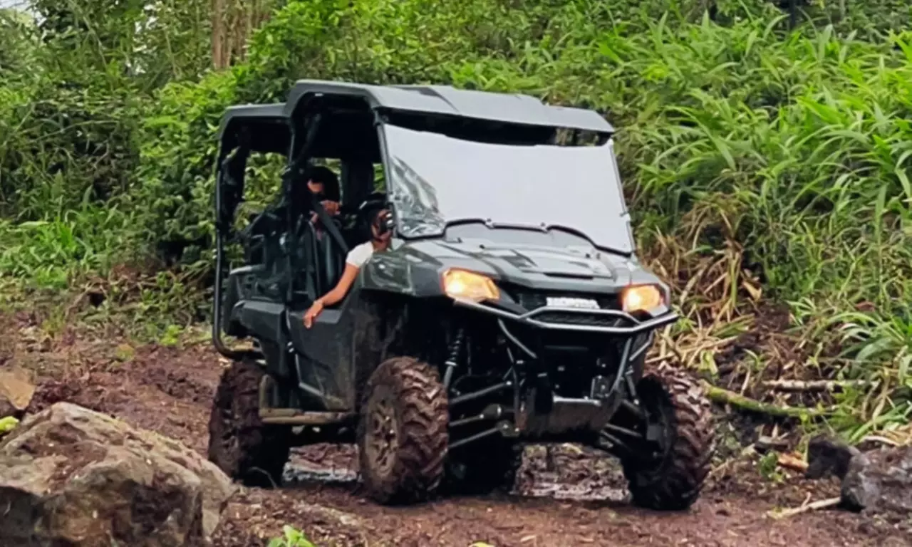 Enjoy a Guided ATV Tour with Seasonal Fruit Picking and More!