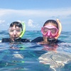 Image 1: Key West Dolphin Watch & Snorkel Tour