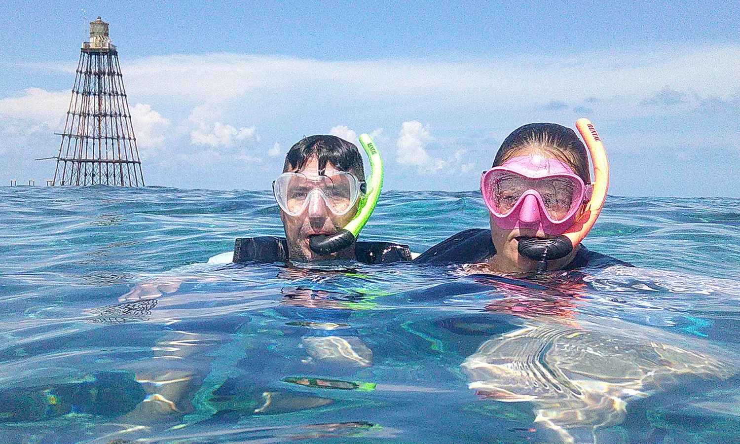 Key West Dolphin Watch & Snorkel Tour