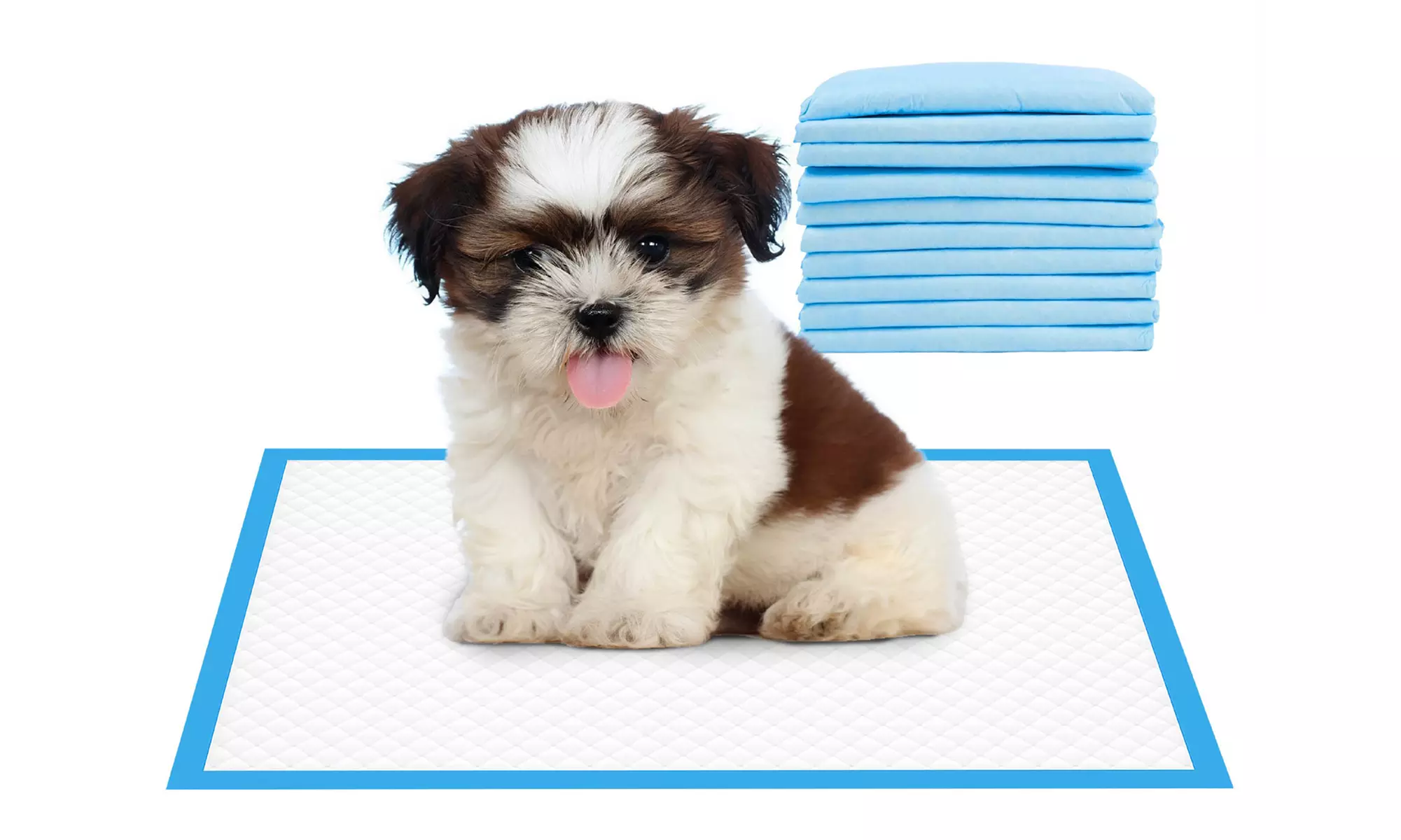 Fino 200 tappetini assorbenti per cani e gatti