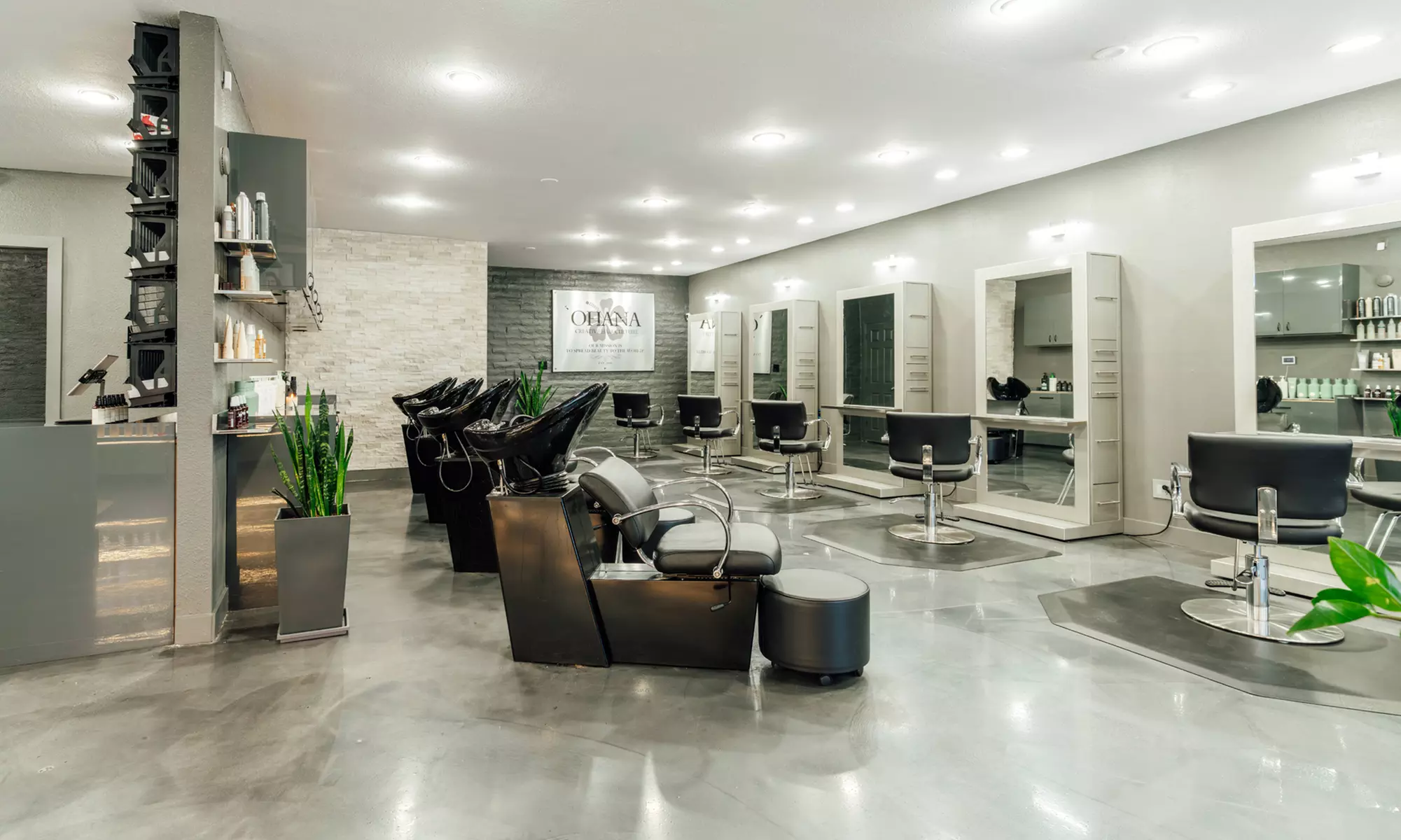 1, 3 or 5 Sessions Blowout Style Plus Deep Conditioning Hair Treatment