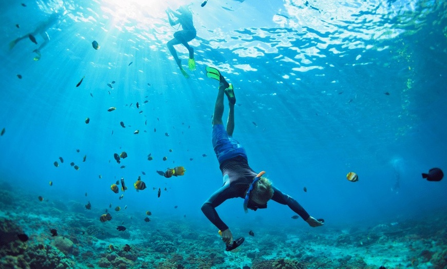 Image 1: ¡Sesión de snorkel en Montgrí! ¡Descubre el paraíso submarino!