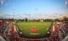 Learn from Cougar Baseball Camps Pros at Premier Skills Youth Camp, June 2-5, with up to 20% off