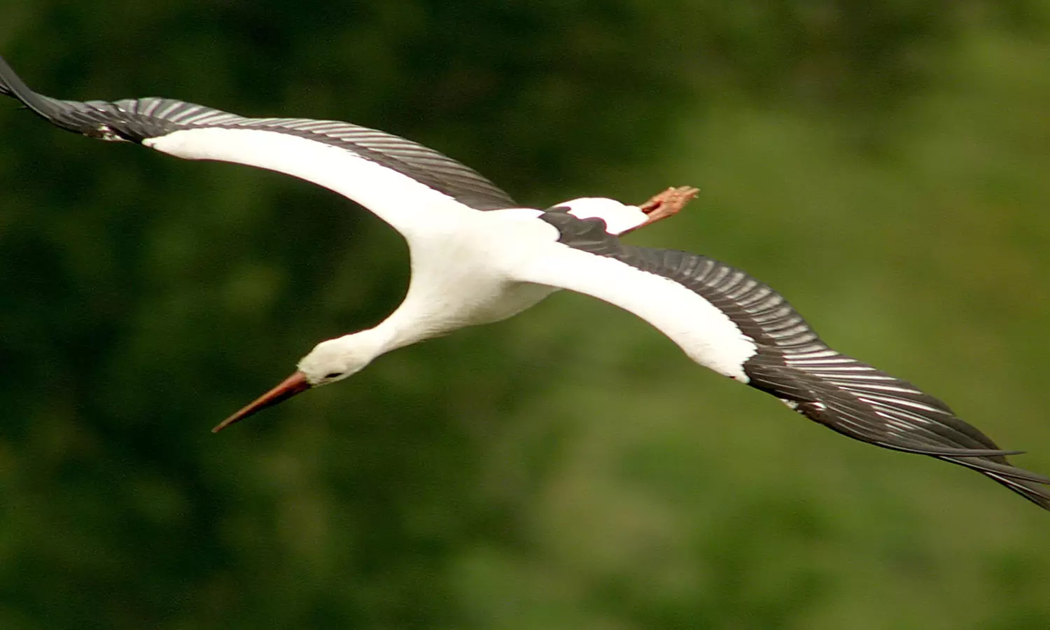 2 Tickets - "Deutschland von Oben - Vivaldi" am 7.12. - Messe + Congress Centrum Halle Münsterland (50% sparen) - Image 7