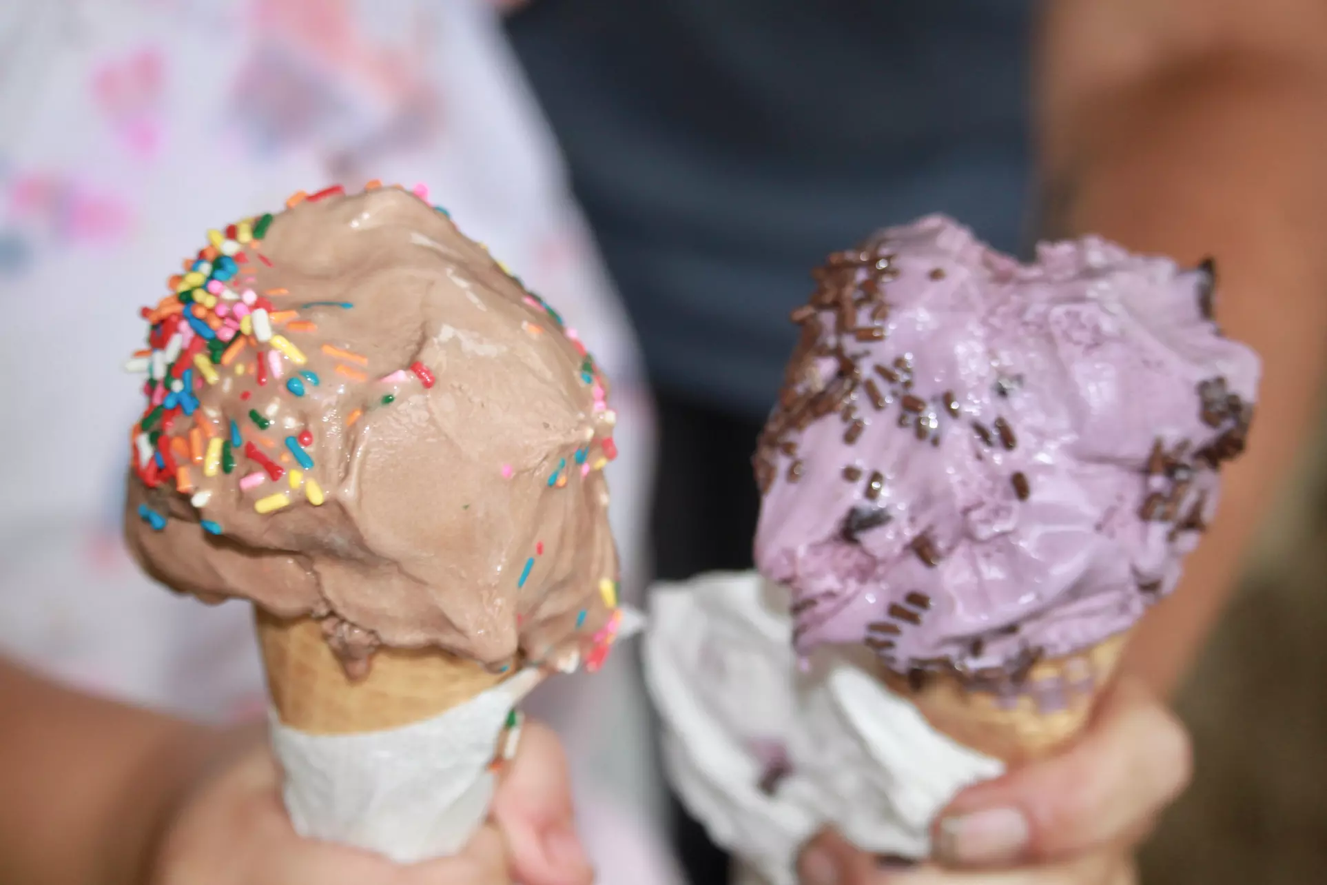 Chill Out with a Sweet Horse-Drawn Tour along with Ice Cream Treats
