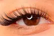 Up to 55% Off on Eyelash Extensions at Le Royal Beauty & SPA Centre - Image 2