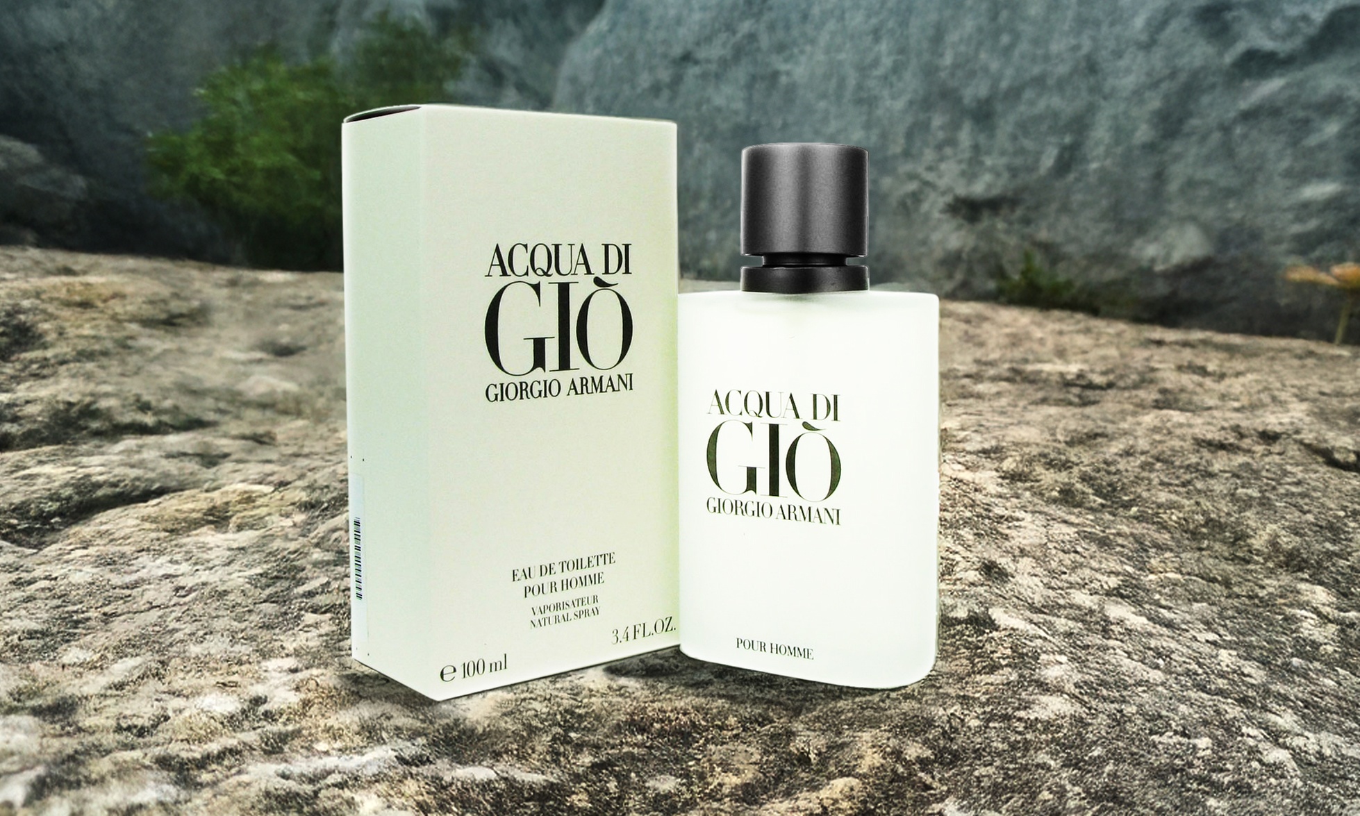 Giorgio Armani Acqua Di Gio Eau de Toilette Spray for Men (3.4 Fl. Oz.)