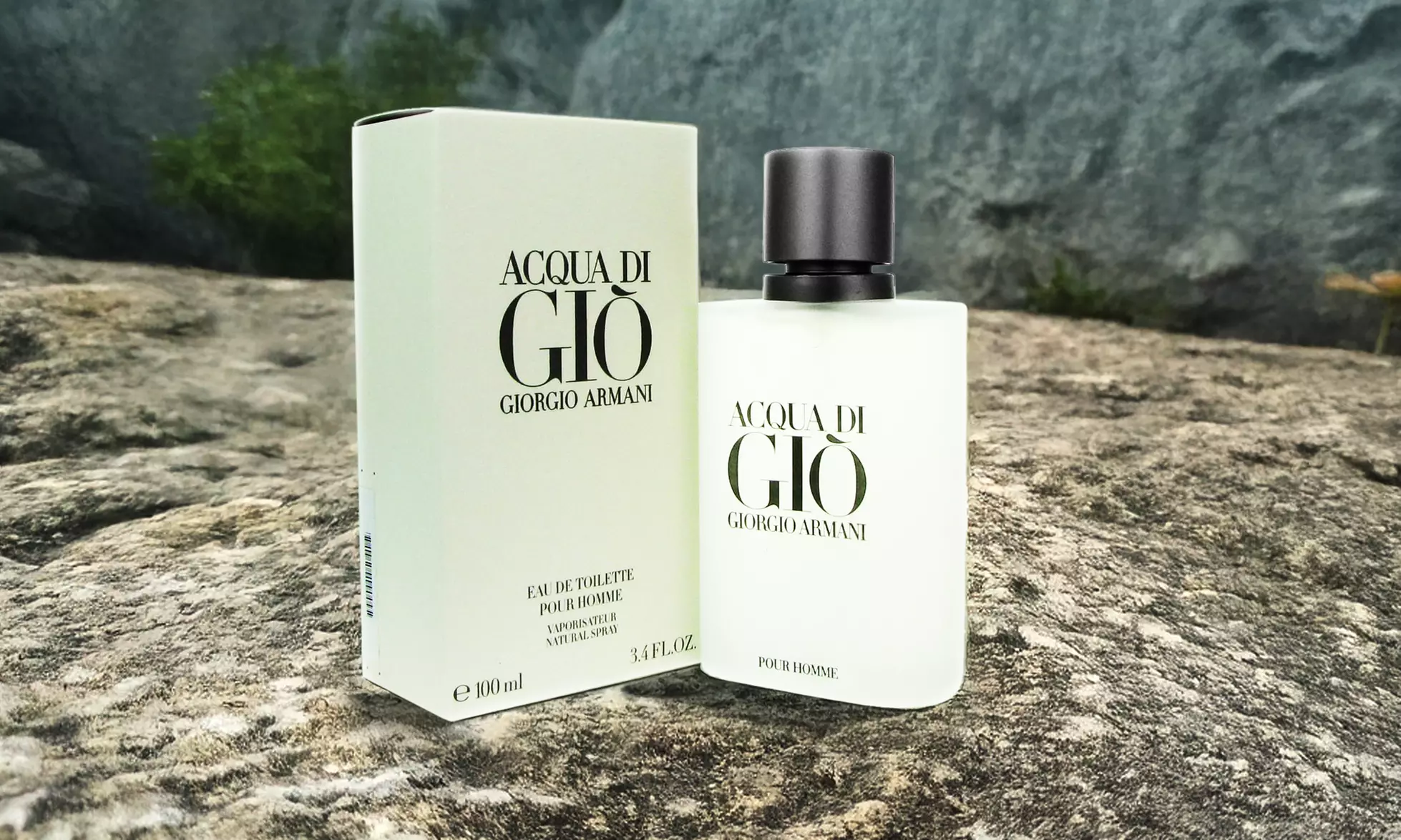 Giorgio Armani Acqua Di Gio Eau de Toilette Spray for Men (3.4 Fl. Oz.)