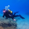 Image 8: Curso SDI open water diver 