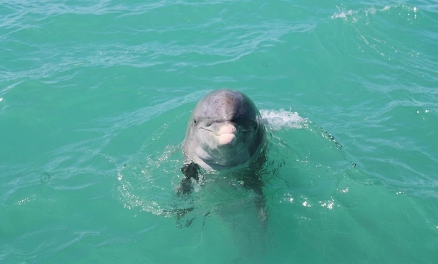 Image 6: SafeSea in Fort Myers, FL