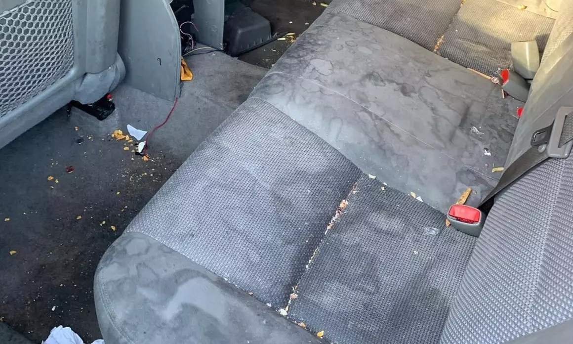 Complete Car Detailing with Interior, Exterior, or Full Restoration