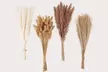 100 Pcs 17 inch Natural Dried Pampas Grass Boho Home Decor - Second Medium