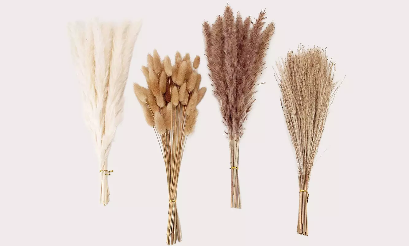 100 Pcs 17 inch Natural Dried Pampas Grass Boho Home Decor