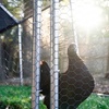 Image 4: Outdoor Photo Sessions: 60- & 30-Min Shoots