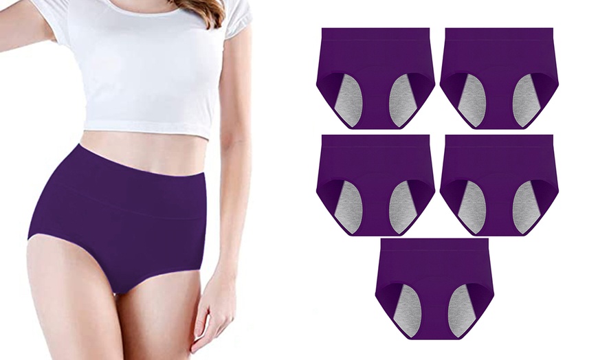Image 11: 5er-Set Mid-Waist Menstruationsunterhosen 