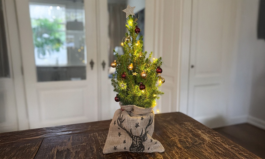 Image 3: Mini sapin de Noël de Rootz