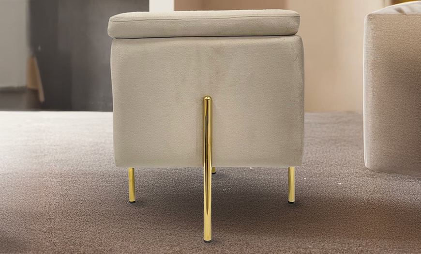 Image 11: Lapo puf contenedor de terciopelo 