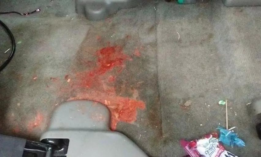 Revitalize Your Ride with One Full Service Full Interior Clean