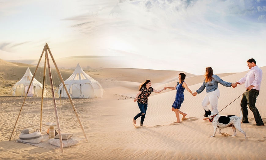 Image 8: VIP Half-Day Desert Safari with Liwa Adventure Tours And Safari