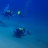 Image 7: Curso SDI open water diver 