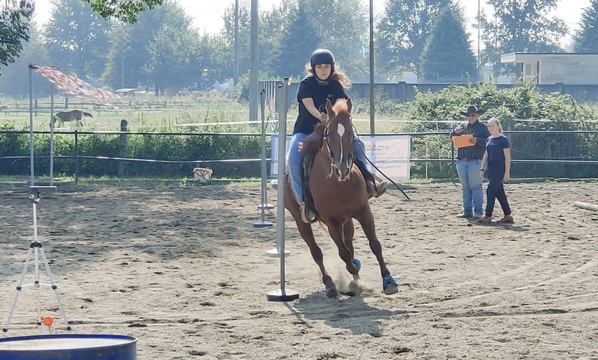 Image 2: Lezioni di equitazione per adulti o bambini da Grace Ranch