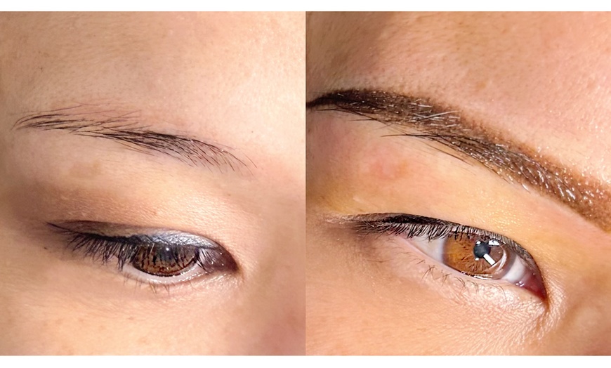 Image 3: Permanent Makeup nano Brows Powder Brows and Lip Blush