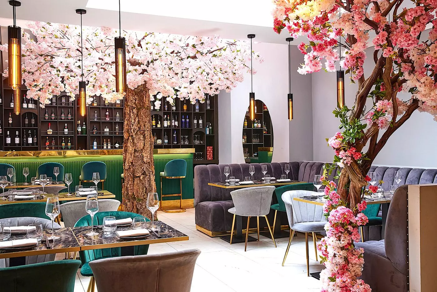 4-Course Japanese Meal Experience; For Couples, Friends, or Groups