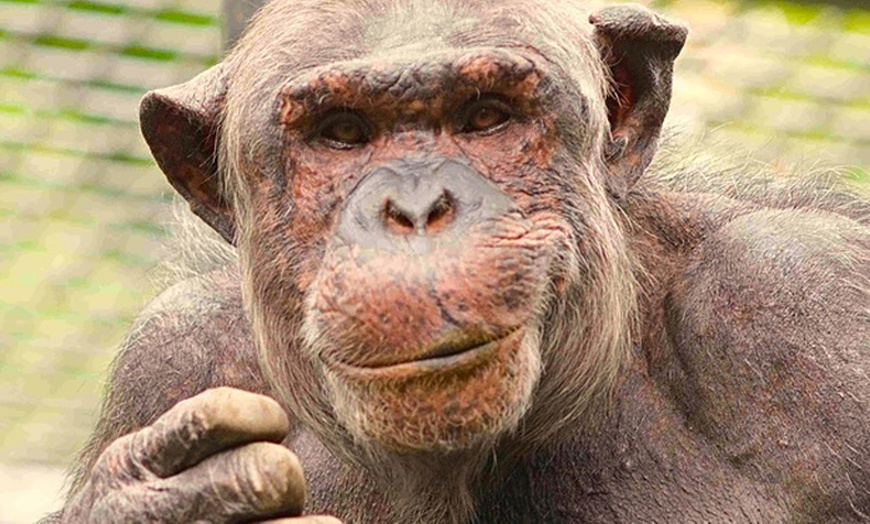 Image 3: Tageskarte für den Tierpark Leintalzoo für 2 Pers. / eine Kleingruppe