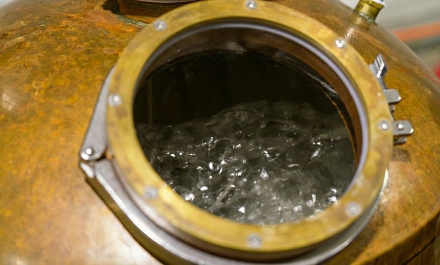 Image 5: Gin Making Masterclass with Tastings - 2.5 Hours for One or Two Adults