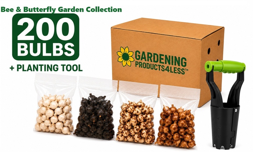 Image 27: Graduation Flower Bulb Collections